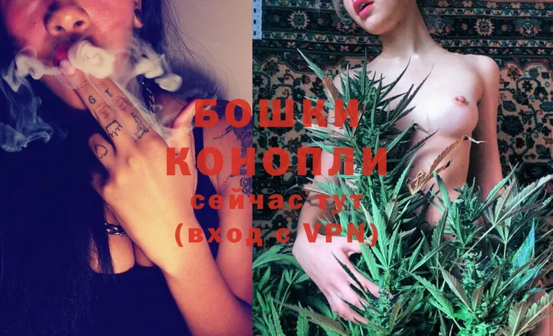 купить наркотик  Калининец  Шишки марихуана OG Kush 